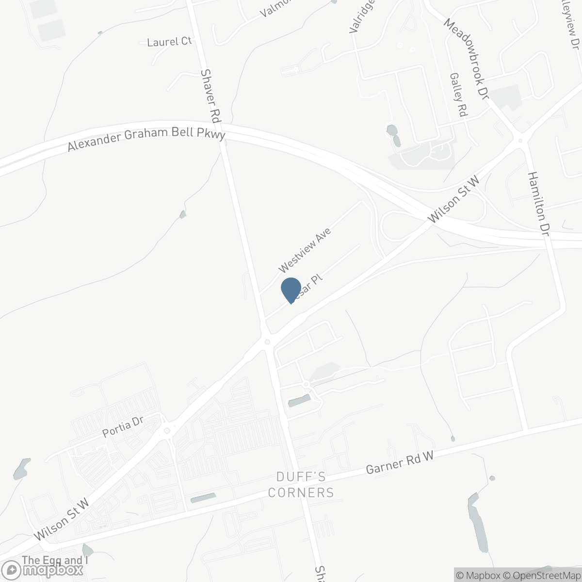 41 CESAR Place, Ancaster, Ontario L9G 0G3